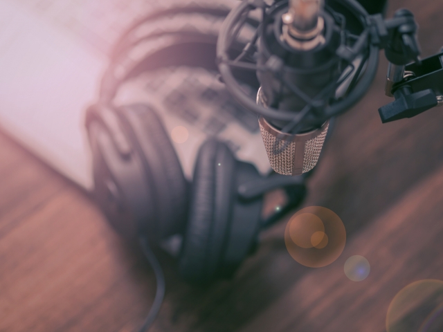 What is an online voice actor